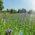 Ramlejowe Wzgorze - Sauna-balia Hébergement de vacances Ostrzyce