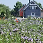 Ramlejowe Wzgorze - Sauna-balia