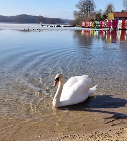 Ramlejowe Wzgórze - Sauna-balia Сasa de vacaciones Ostrzyce