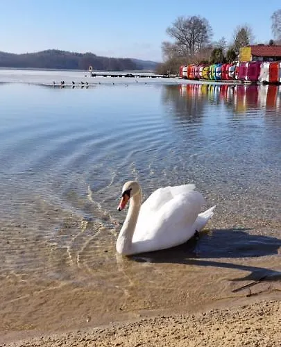 Ramlejowe Wzgorze - Sauna-balia Hébergement de vacances Ostrzyce