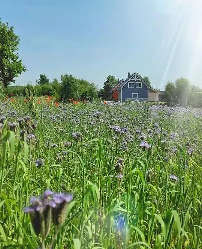 Ramlejowe Wzgorze - Sauna-balia בית נופש אוסטשיצ'ה