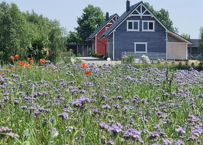 Ramlejowe Wzgorze - Sauna-balia